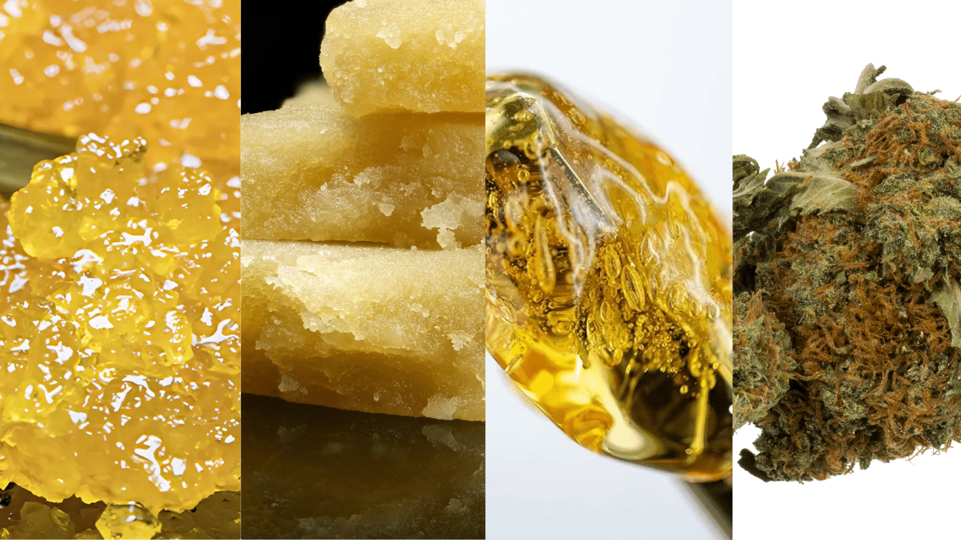Live Resin vs. Other Concentrates