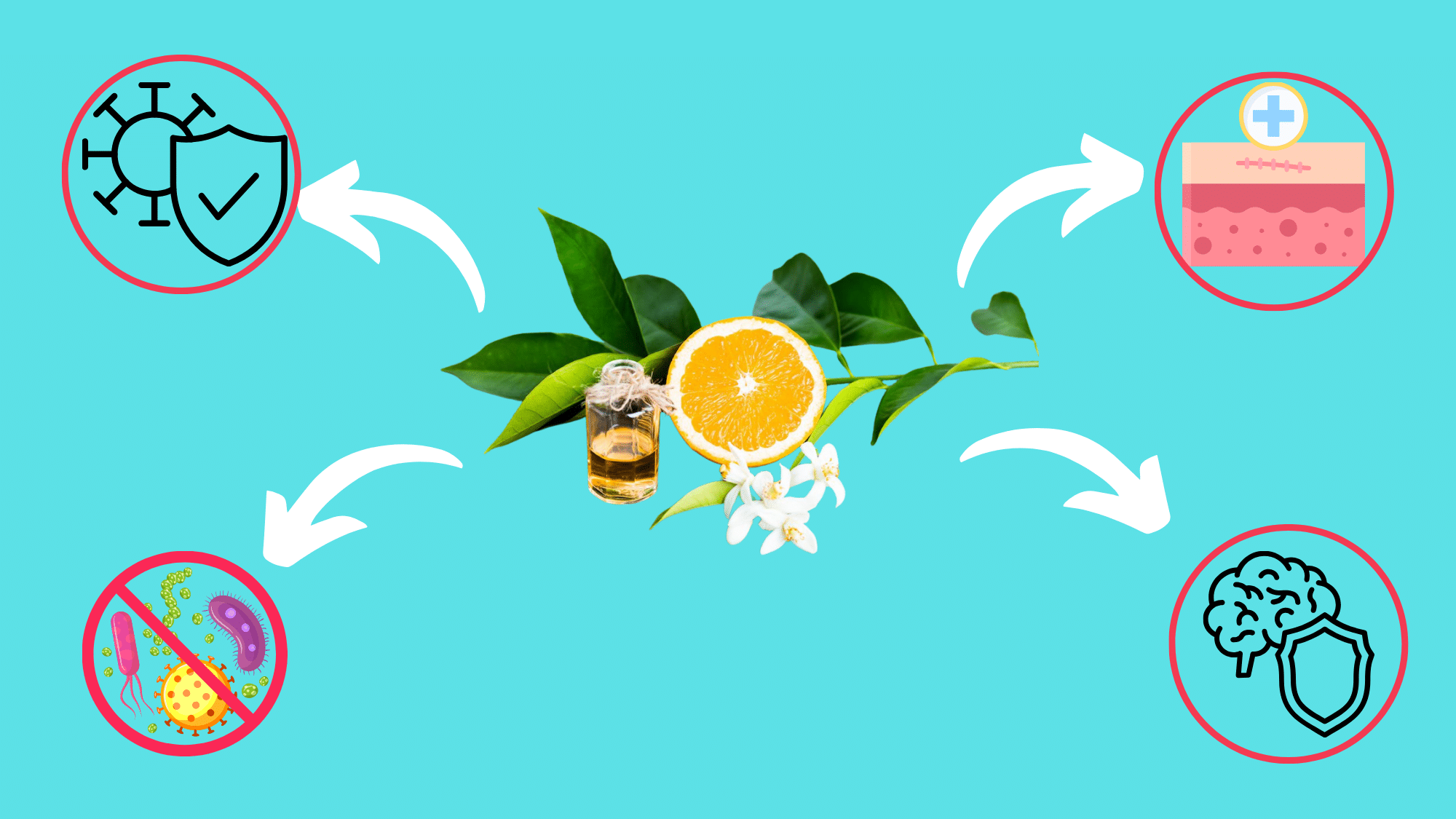 Potential Health Benefits of Nerolidol