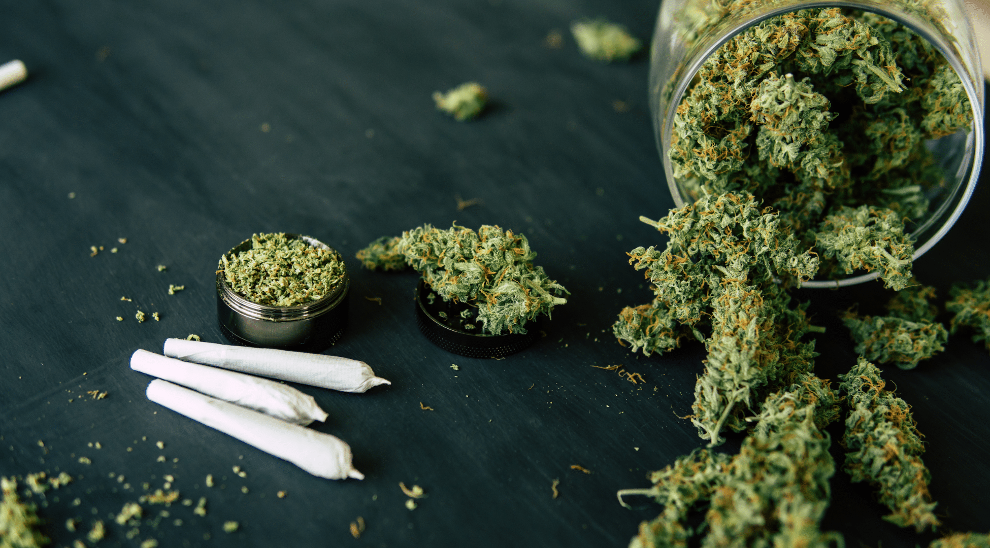 Risks and Side Effects of Cannabinoids