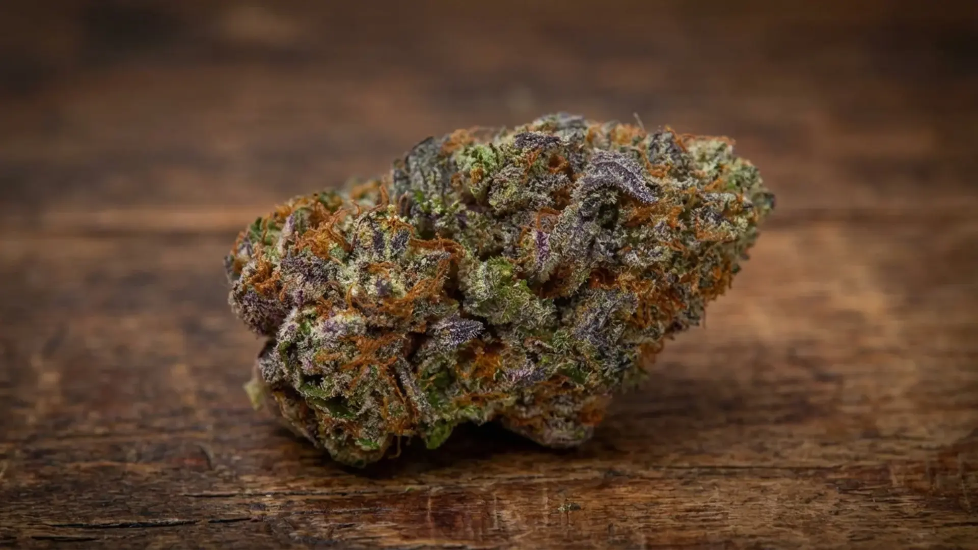 pink runtz cannabis bud with vibrant purple and green leaves and orange hairs on a rustic wooden background