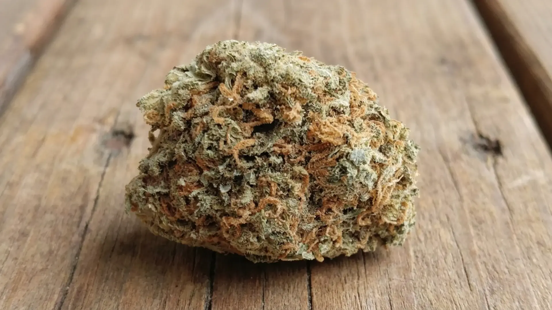 pink starburst cannabis bud with light green leaves and dense orange hairs resting on a weathered wooden surface