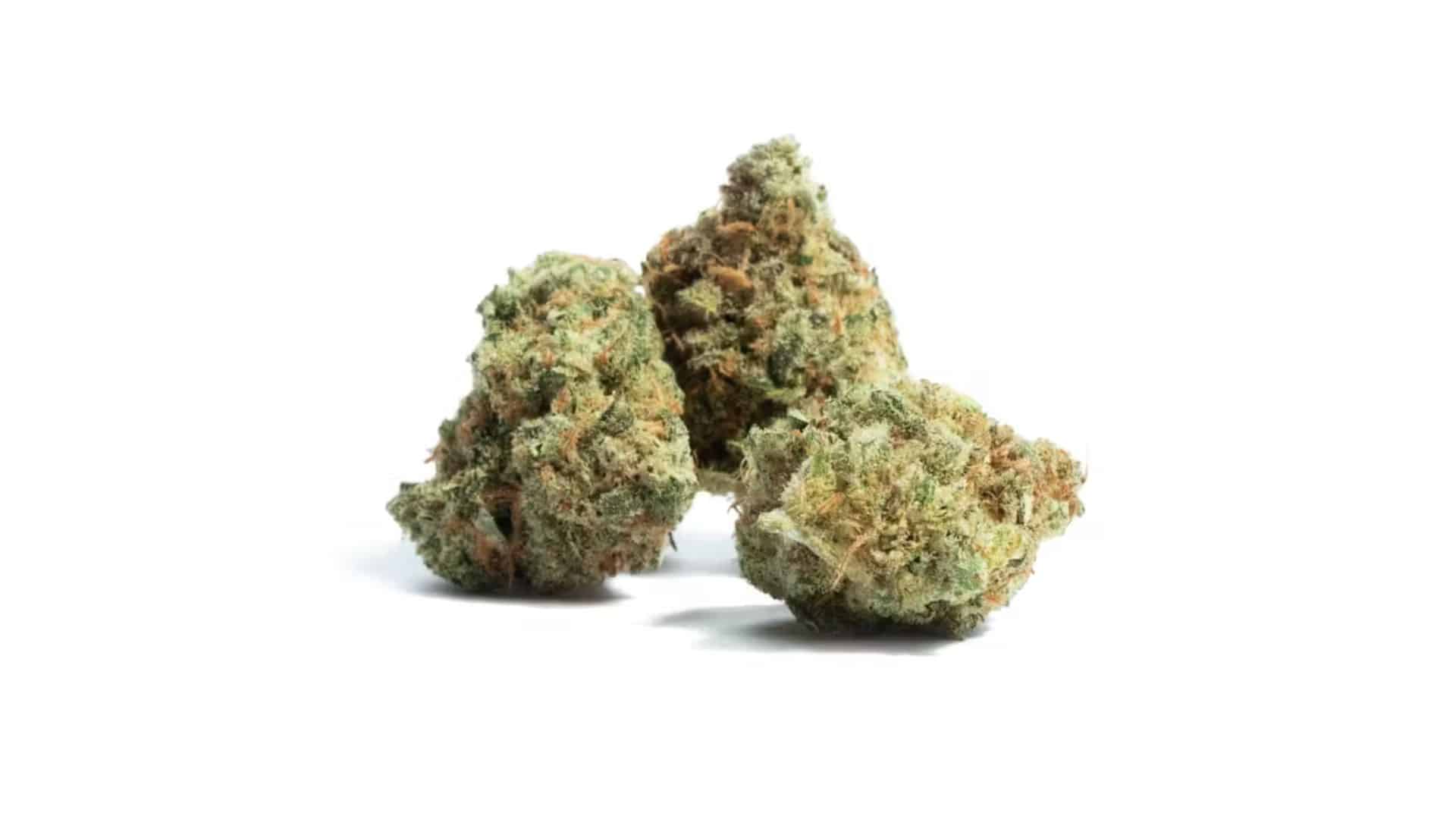 amnesia-haze