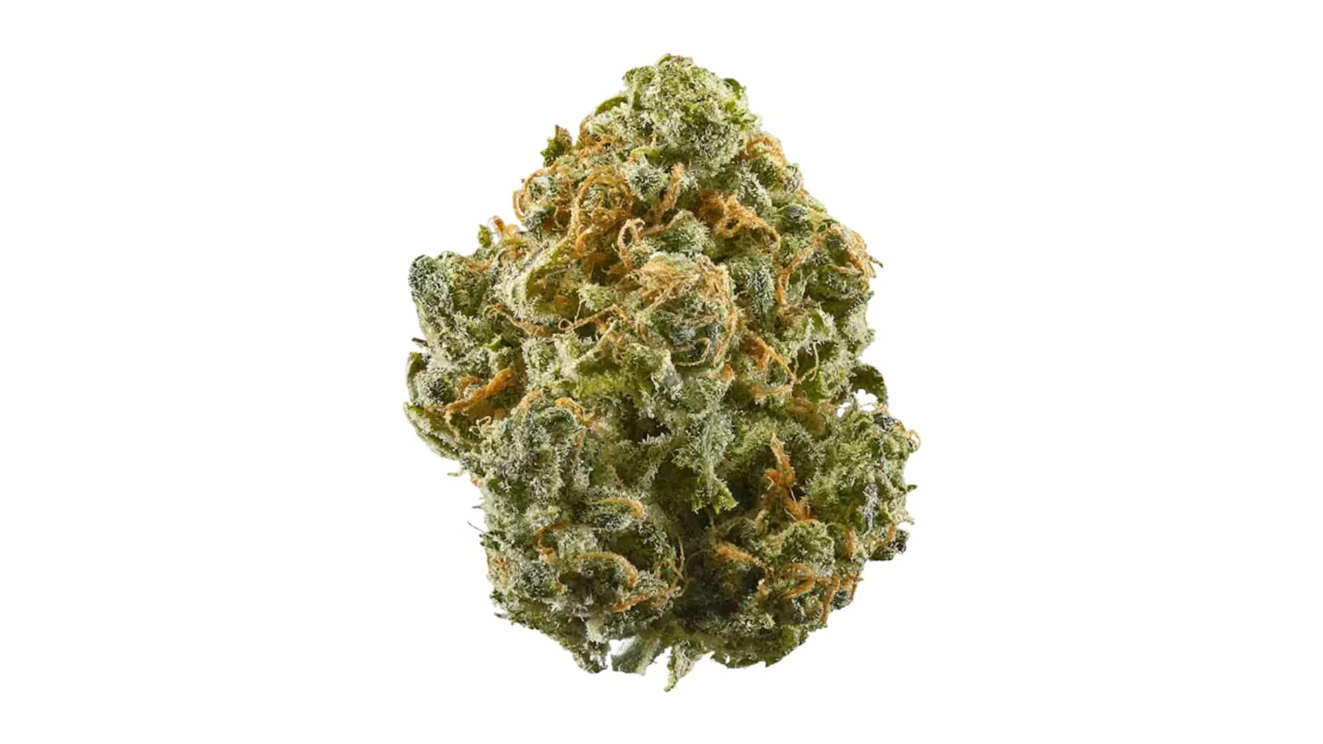 blue-dream