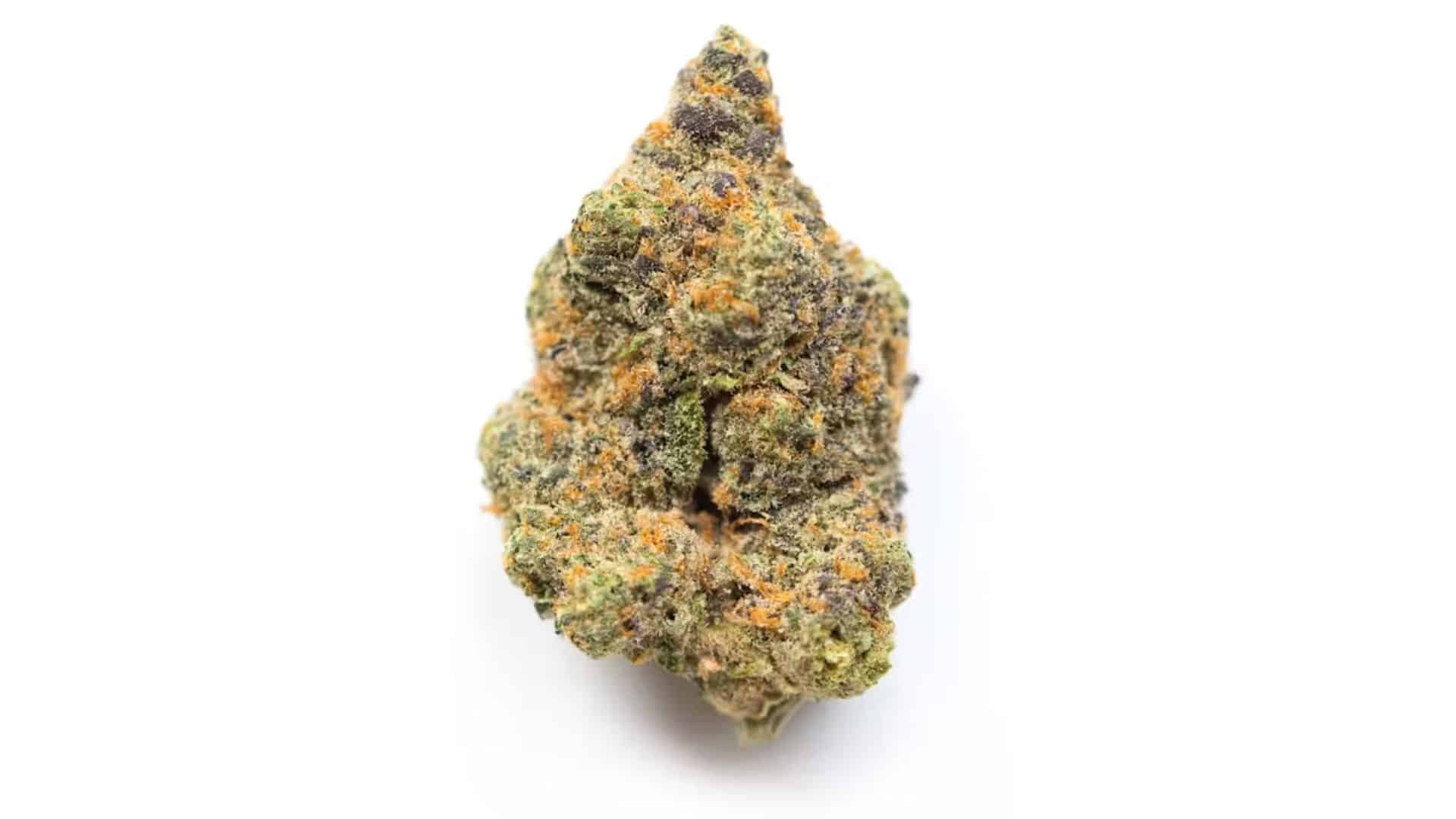 bruce-banner