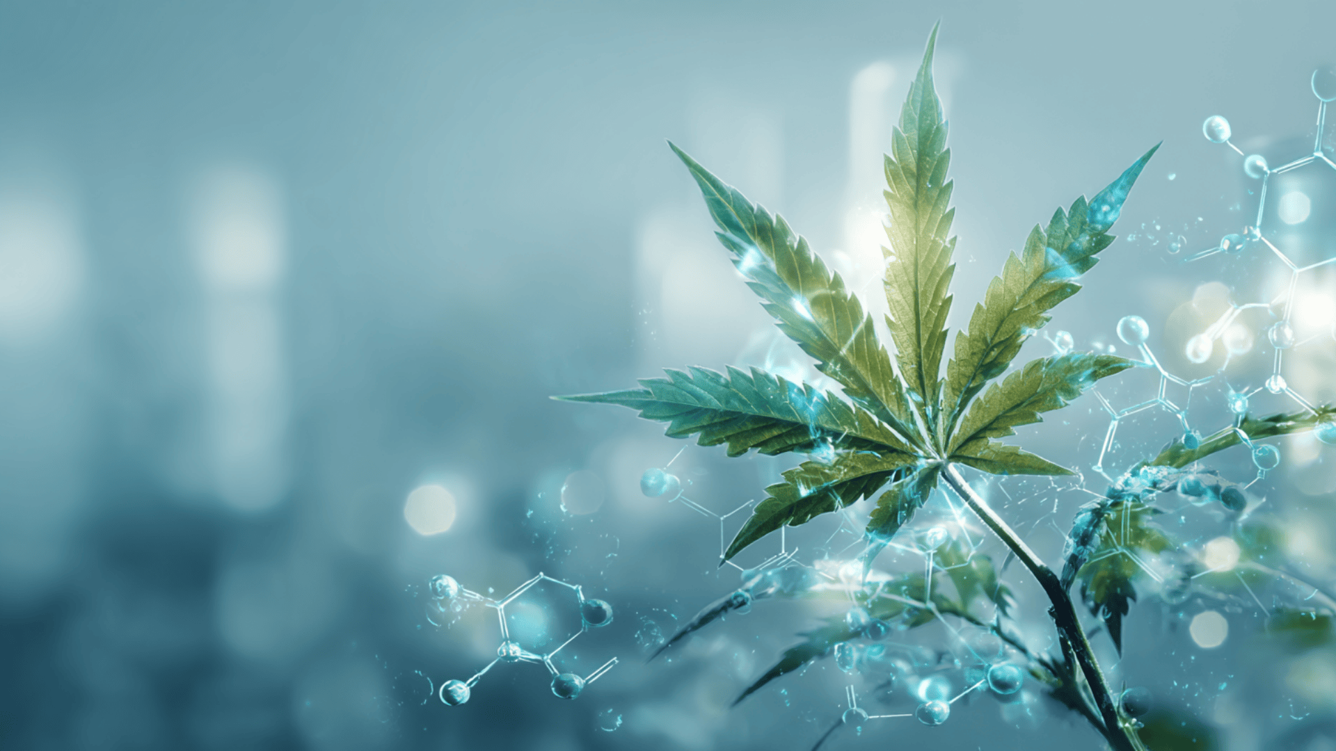 cbt-cannabinoid-benefits-effects-and-research-guide