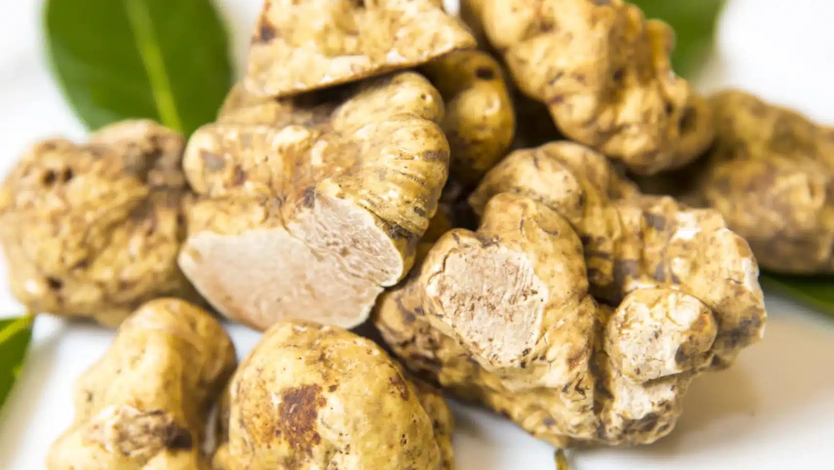 cluster of fresh white truffles with knobby beige surfaces, one sliced open showing pale interior, resting on leaves