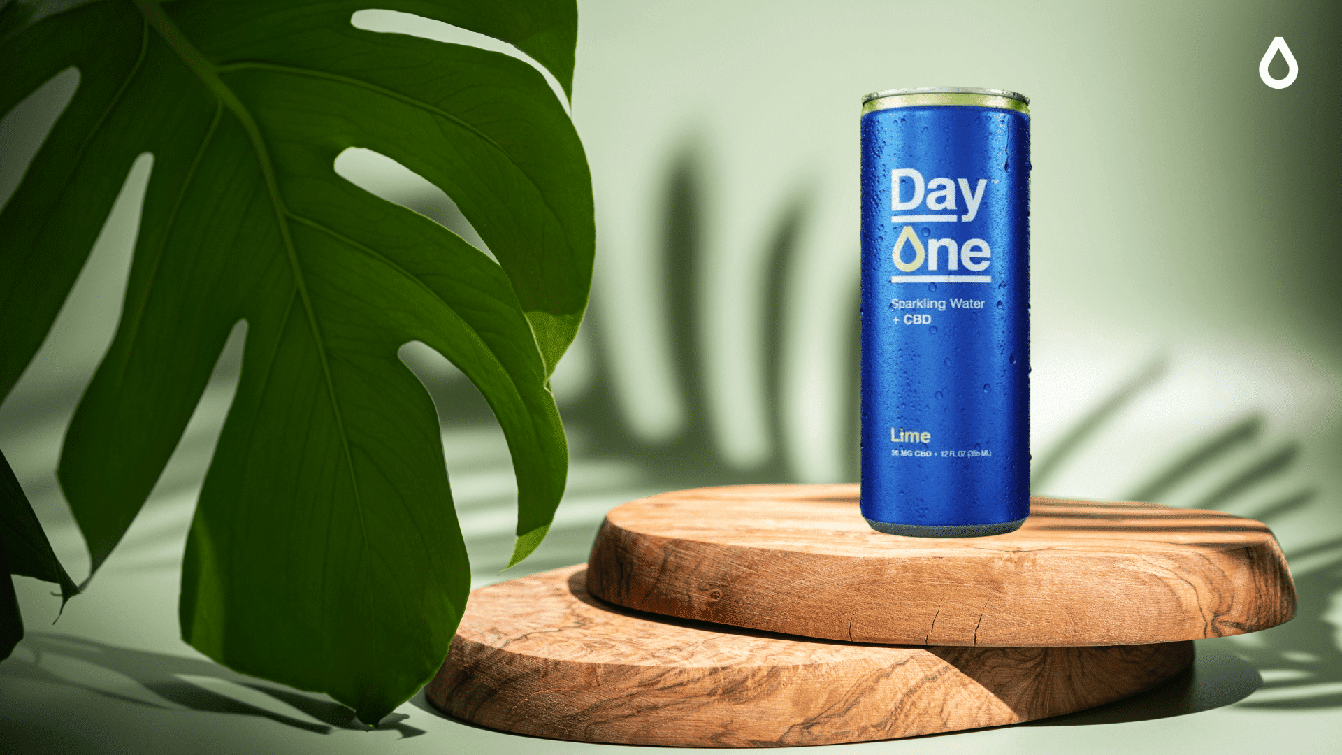 day-one-cbd-sparkling-water