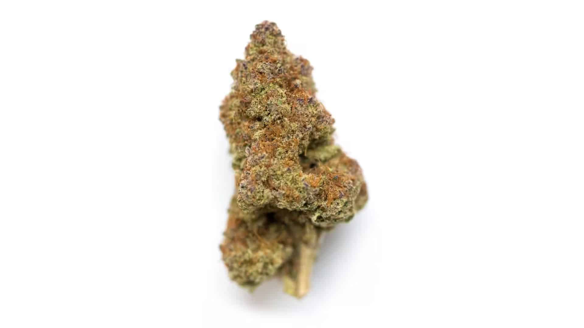 ghost-train-haze