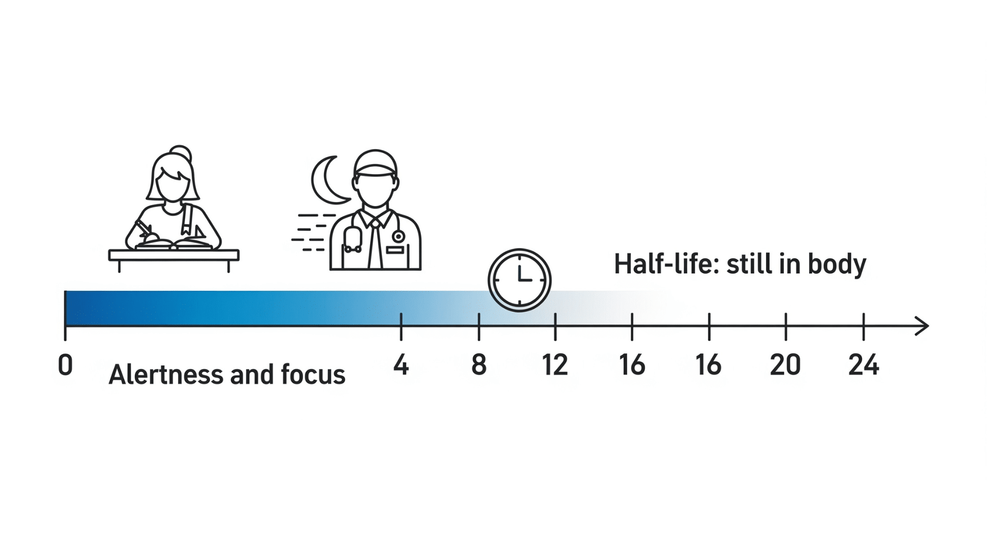how-long-does-modafinil-last-and-why-it-vary