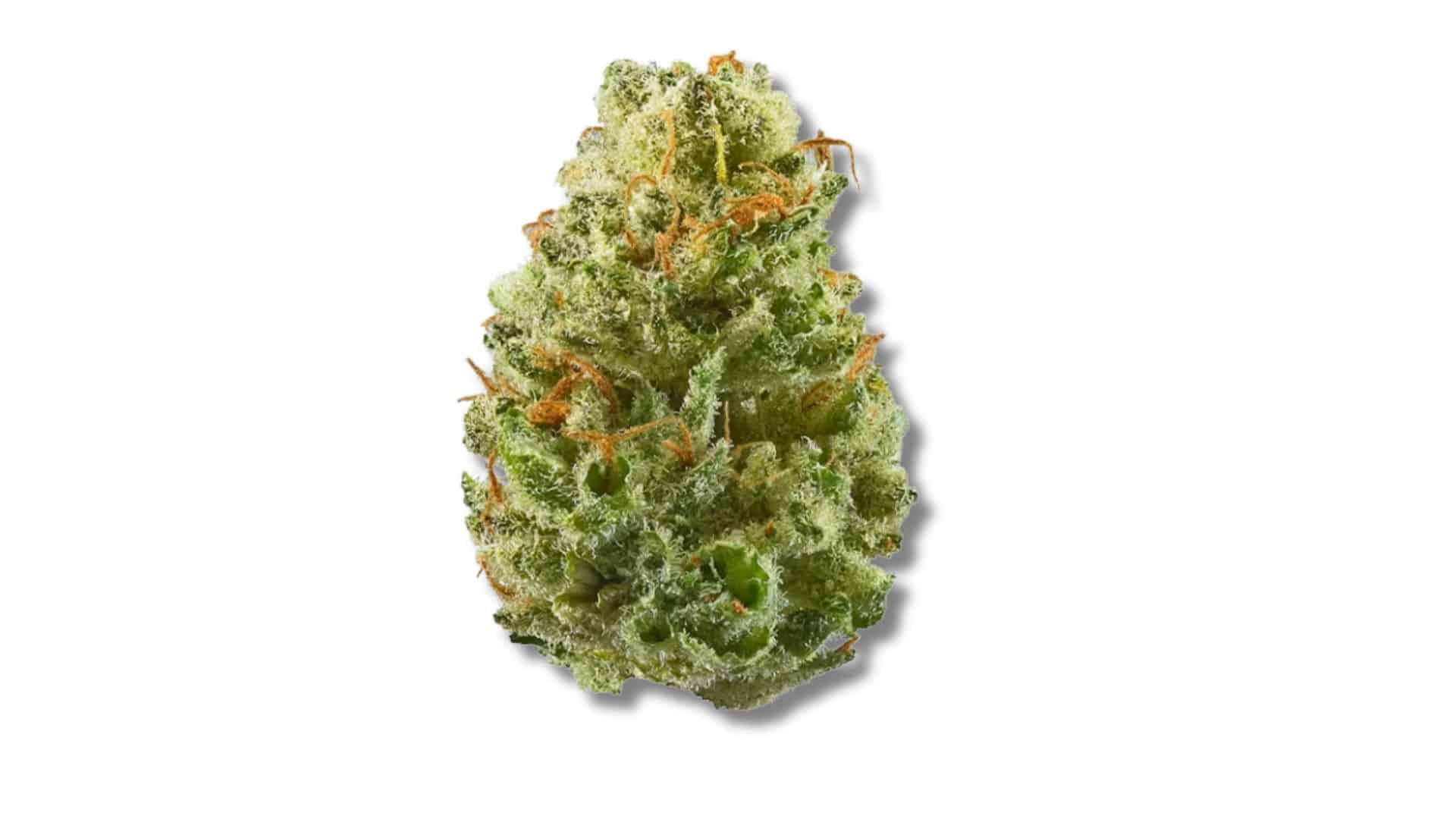 strawberry-cough