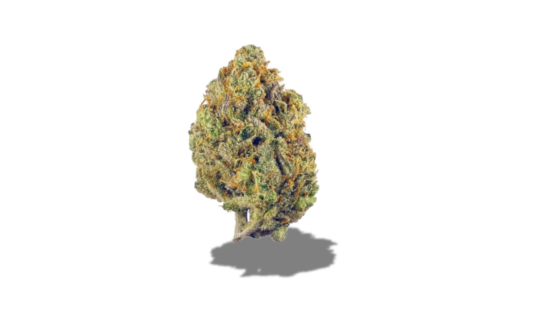 super-lemon-haze