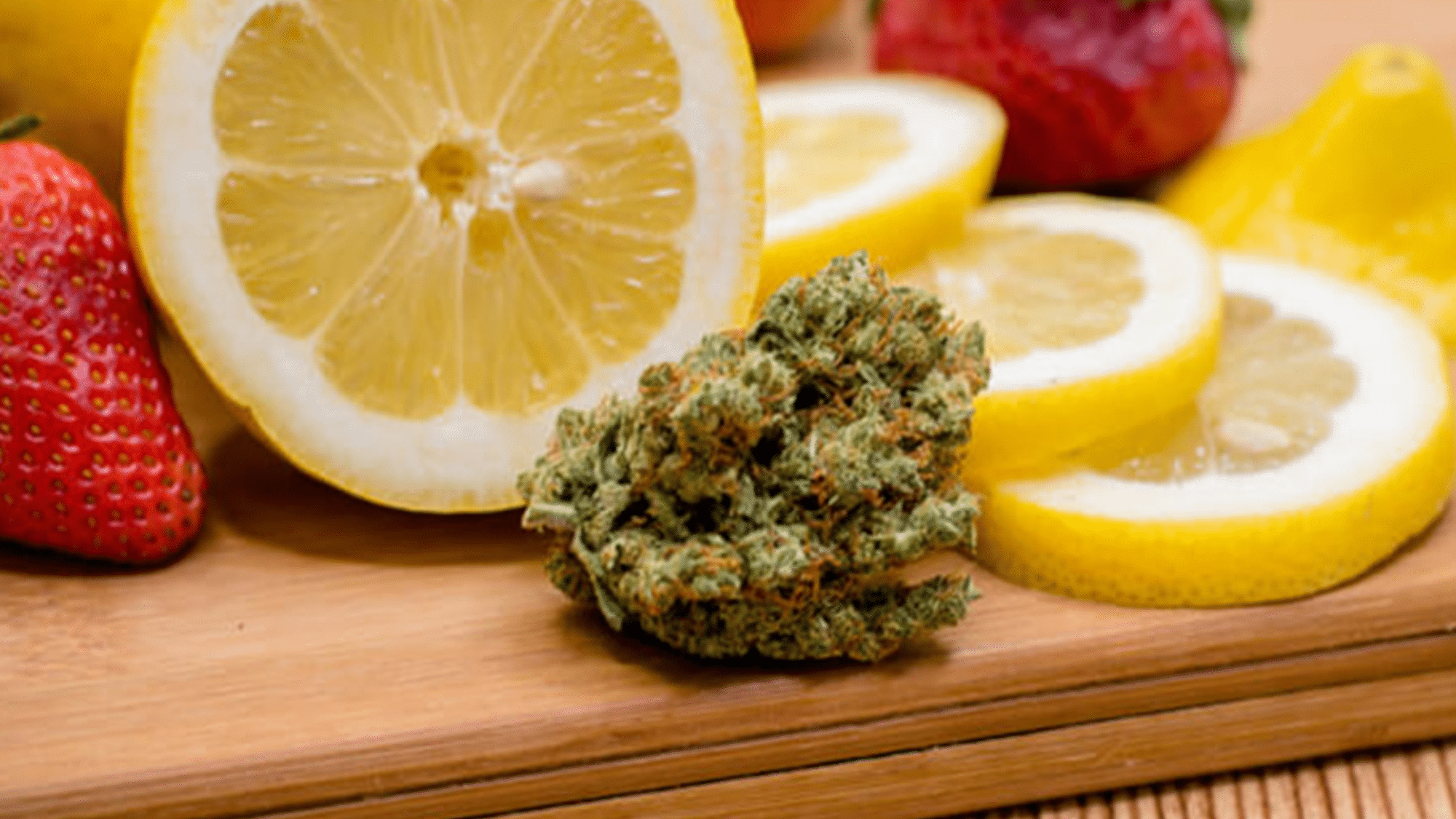 what-is-limonene-terpene-uses-&-effects+