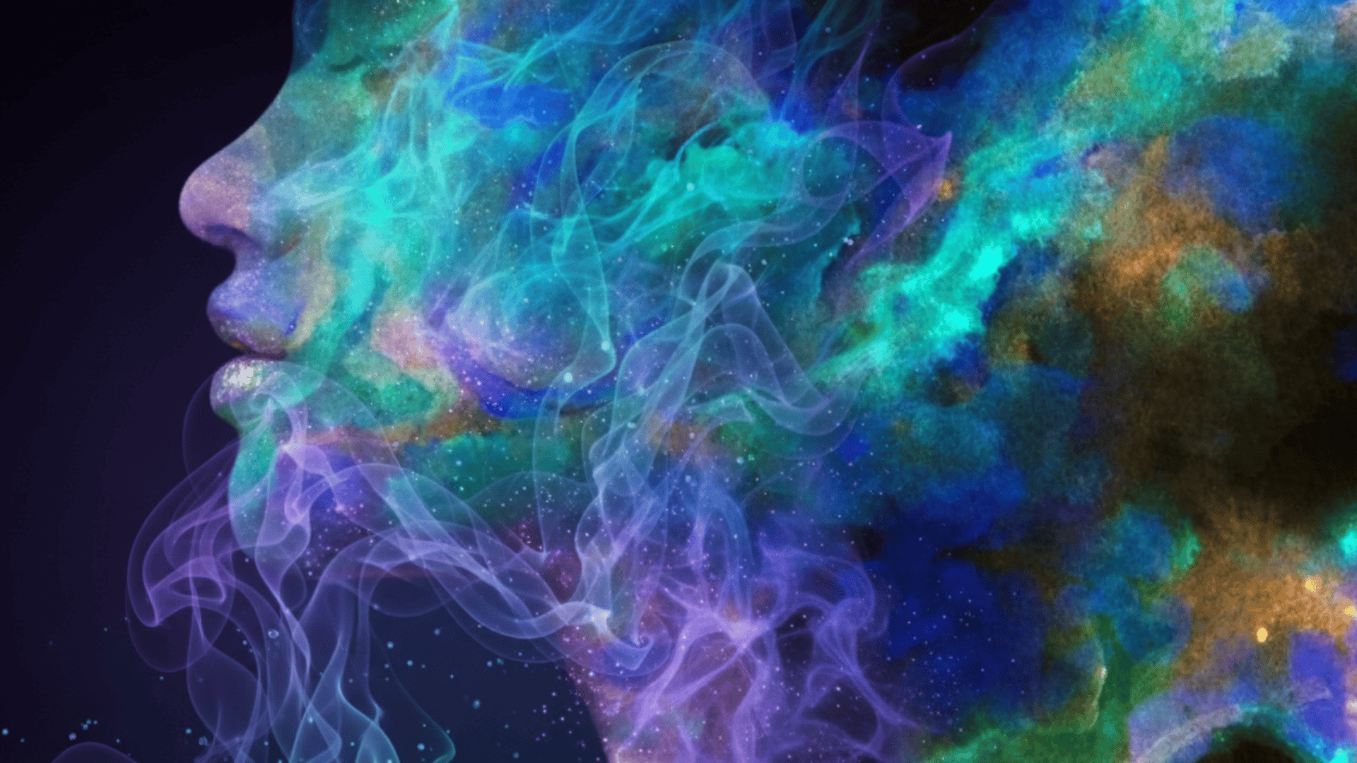 how long does dmt stay in your system