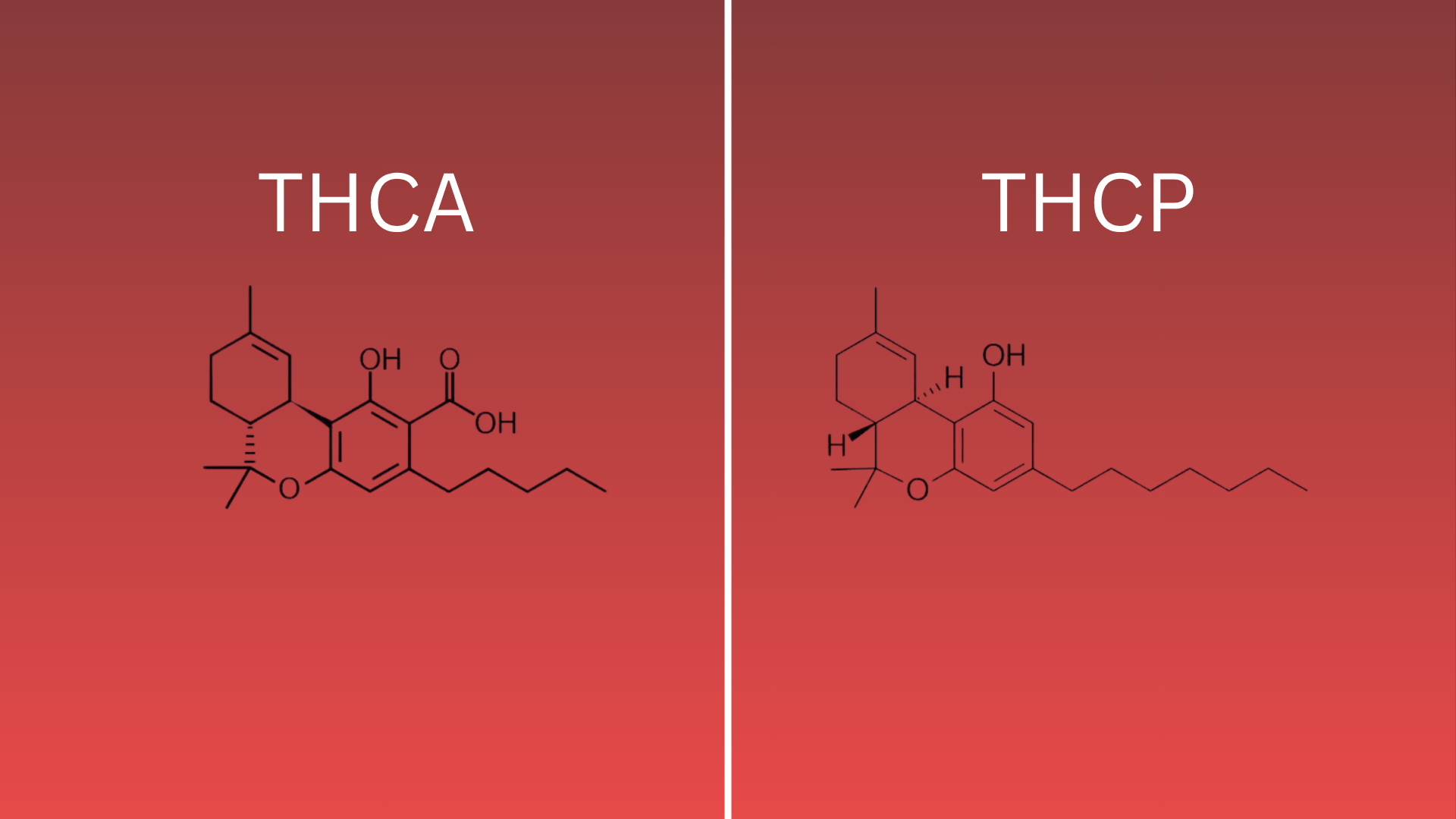 chemical and structural differences