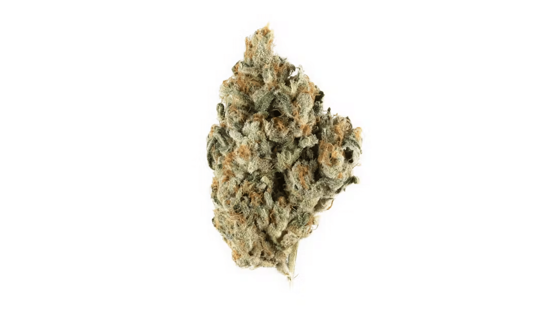 dance world low thc strain