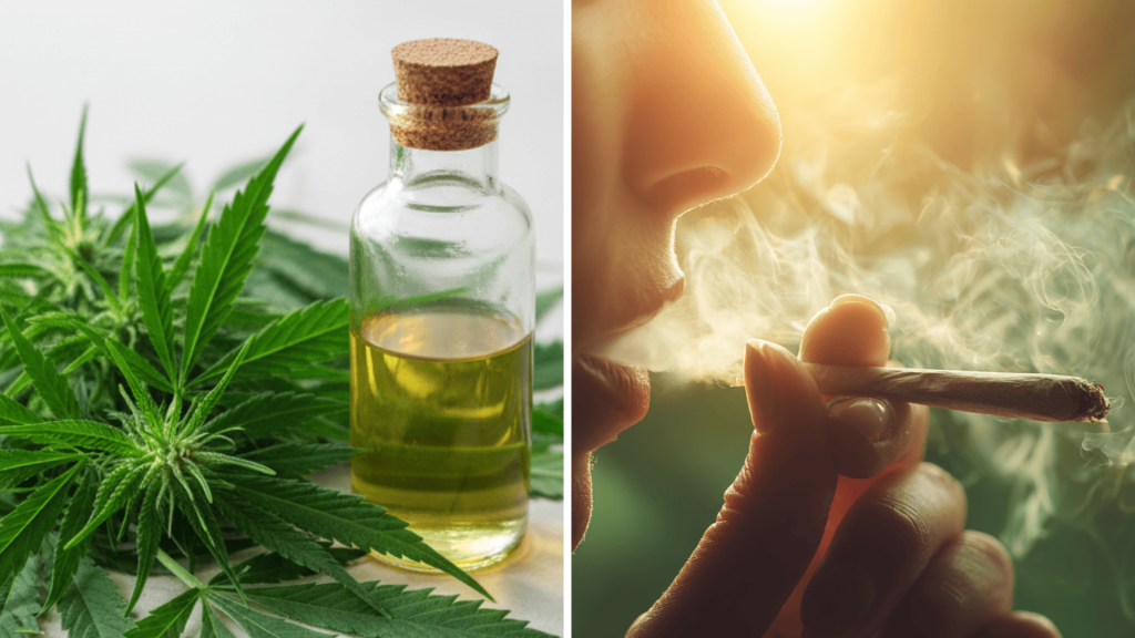 what is thca vs thc a clear comparison