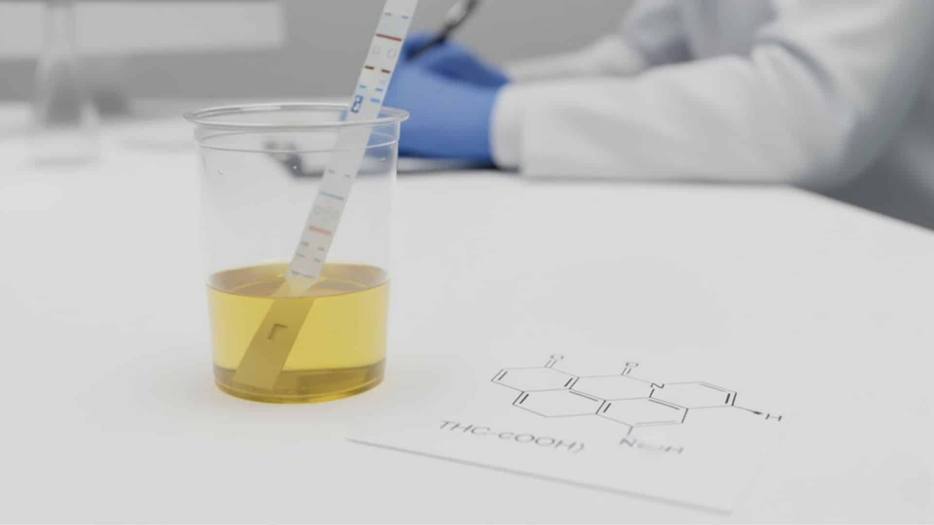 why drug tests flag thc and what they detect
