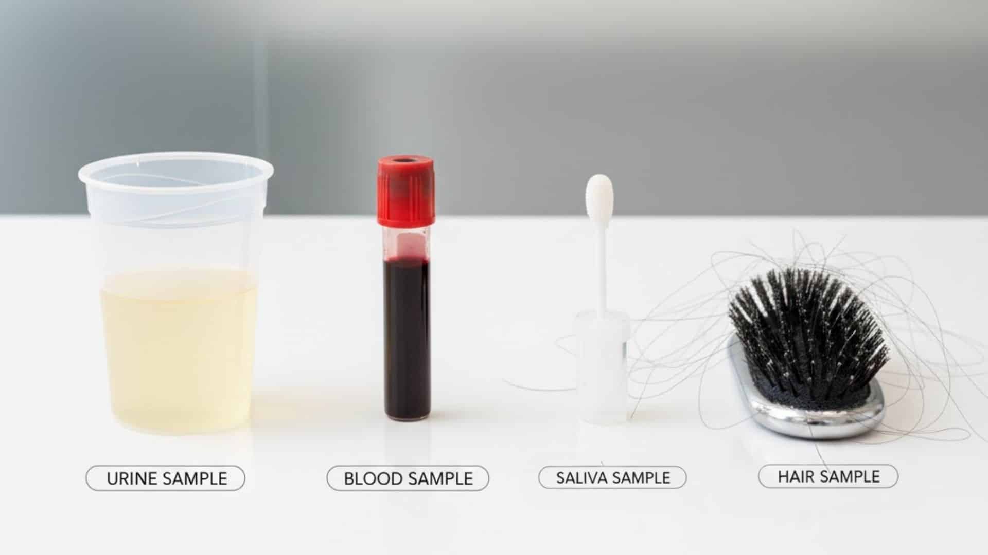 detection time for methamphetamine by testing method