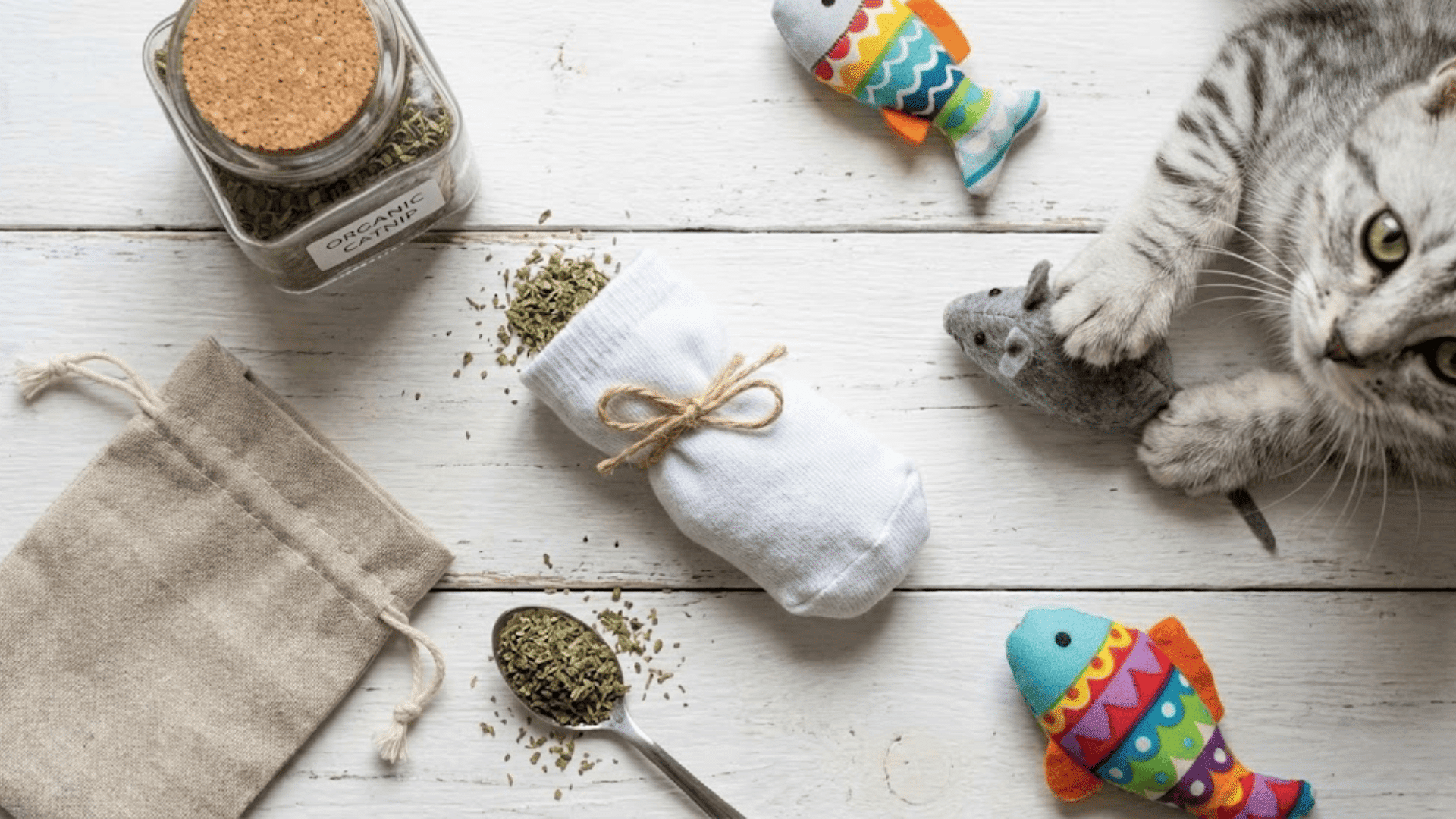 diy-and-product-recommendations