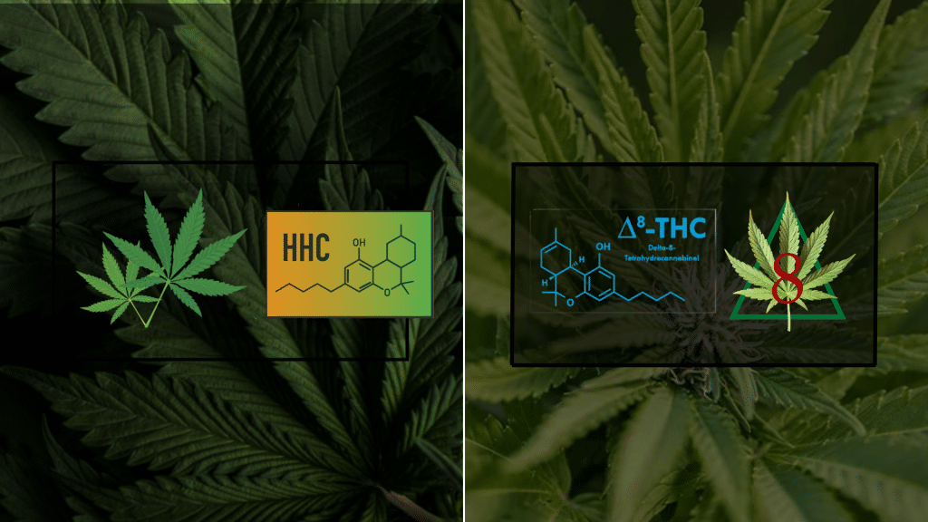 hhc vs delta 8
