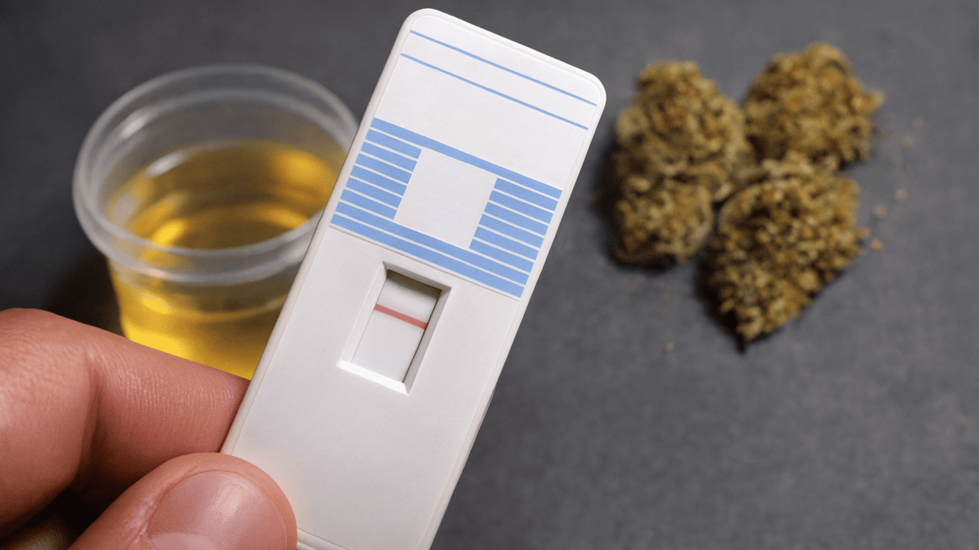 how long does delta 9 stay in your system