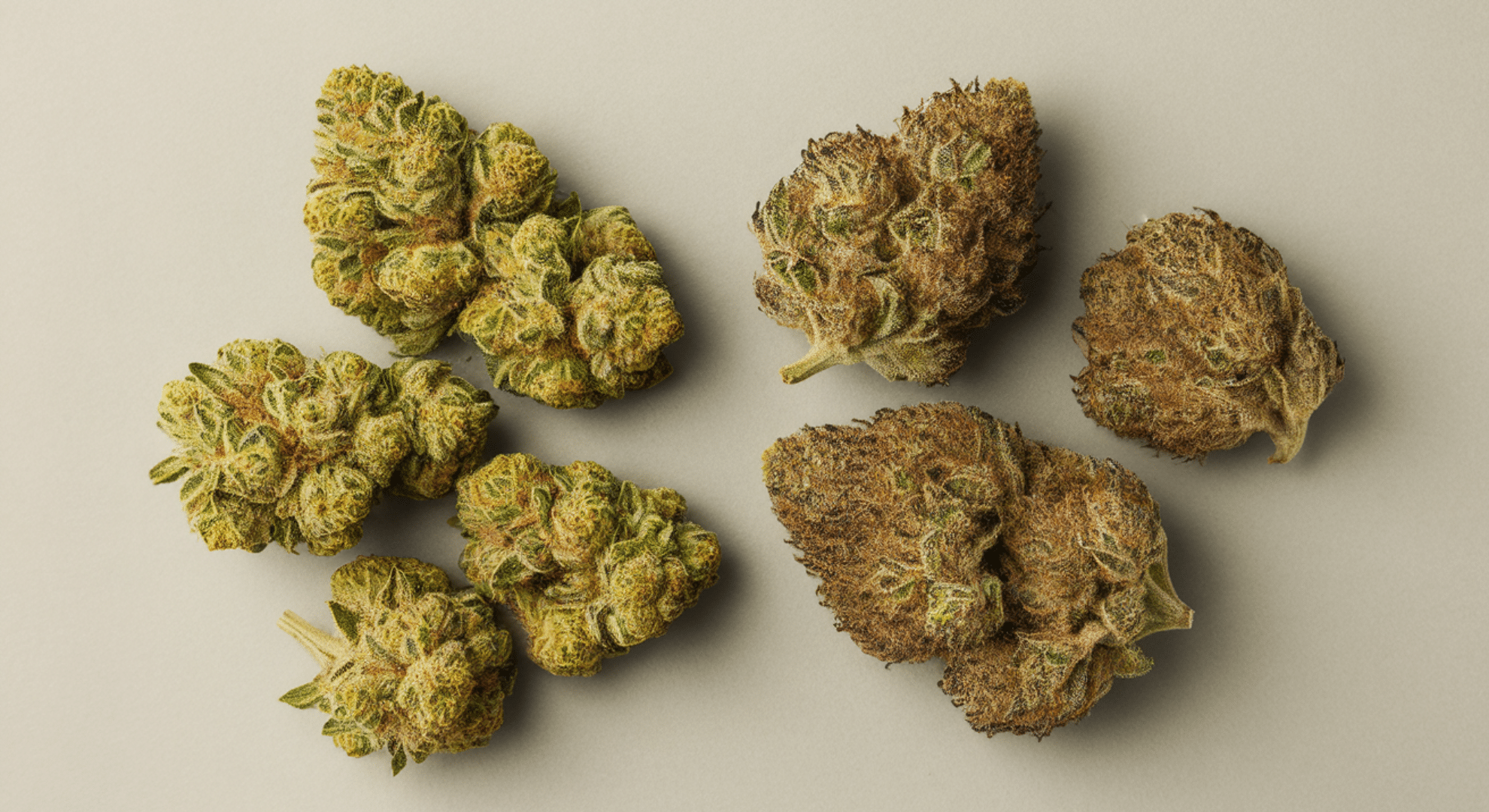 recognizing good vs bad weed by smell