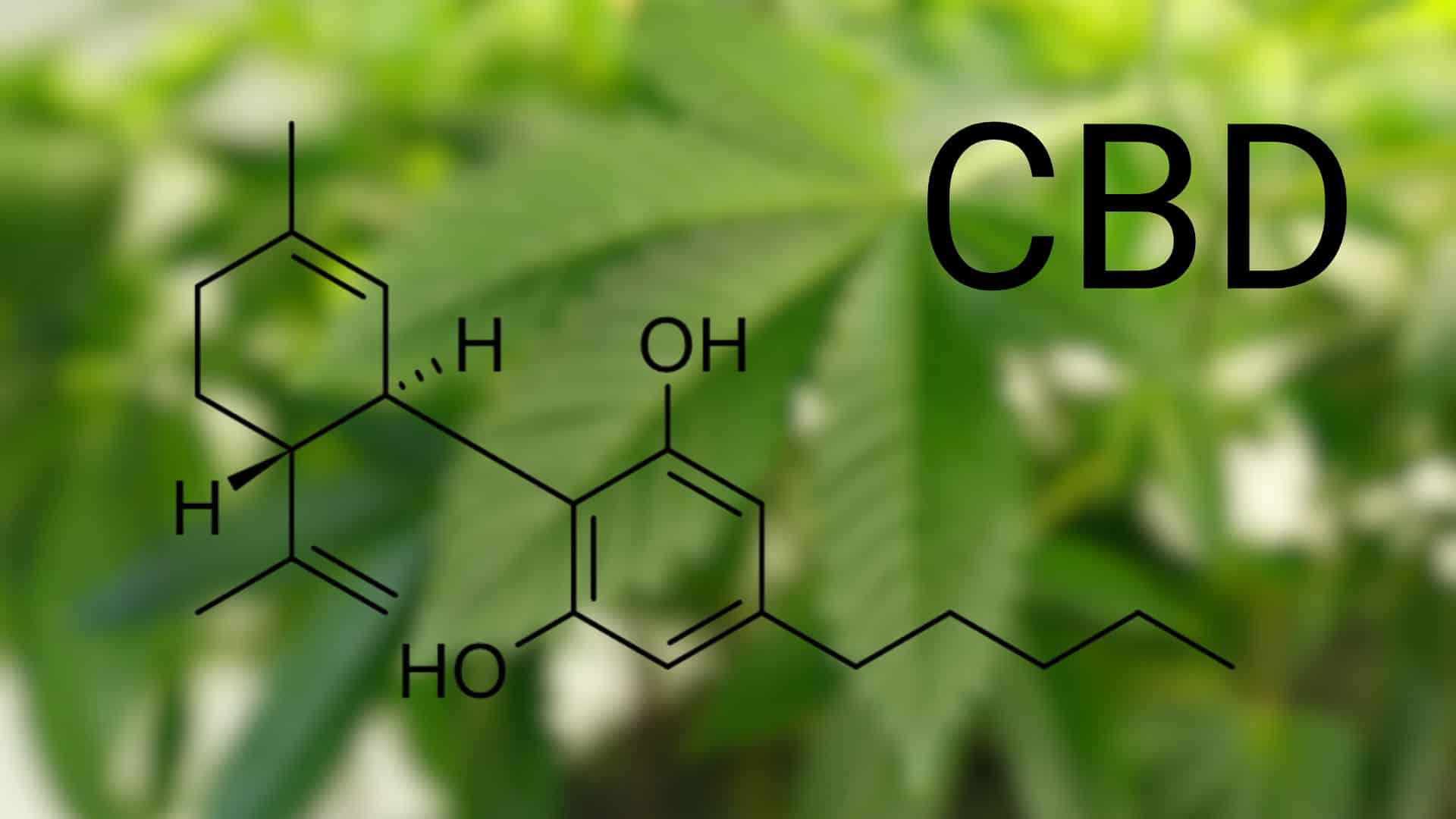 what-Is-cbd-cannabidiol