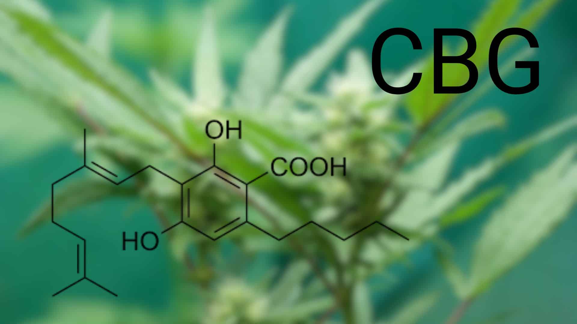 what-Is-cbg-cannabigerol