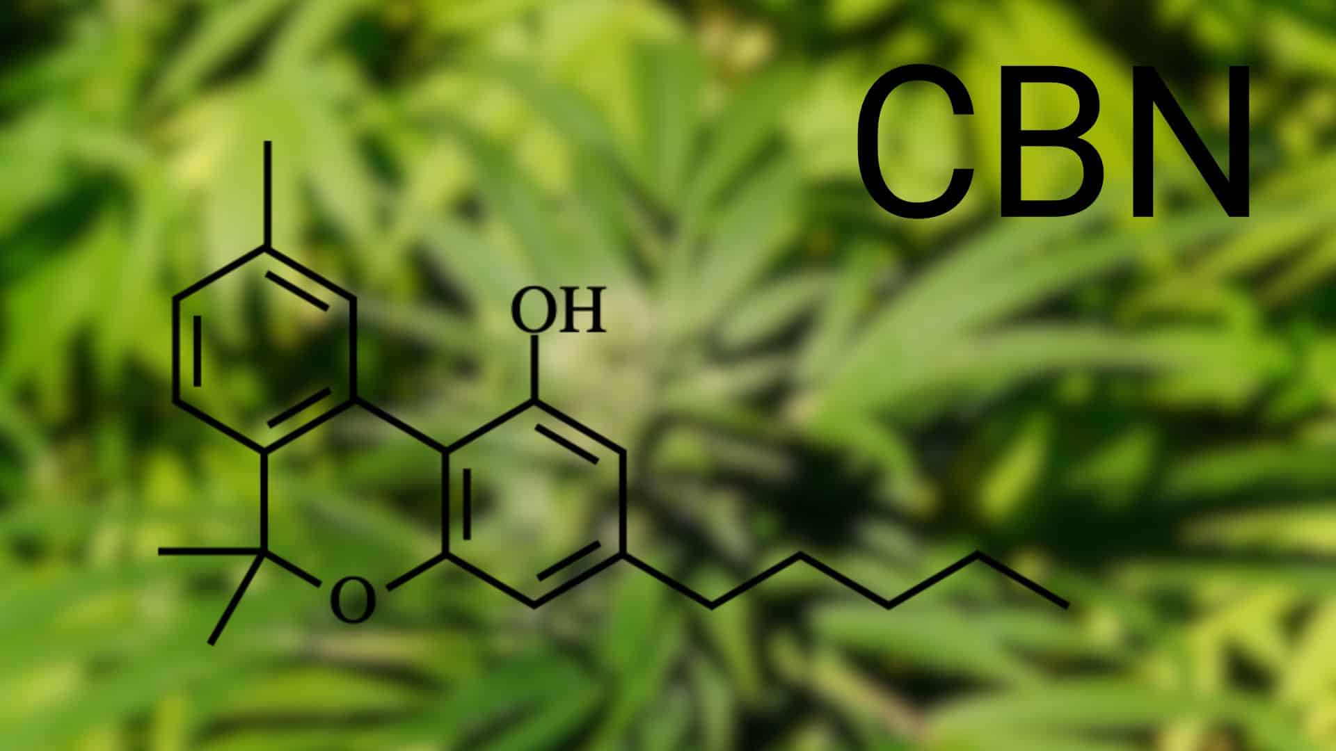 what-Is-cbn-cannabinol