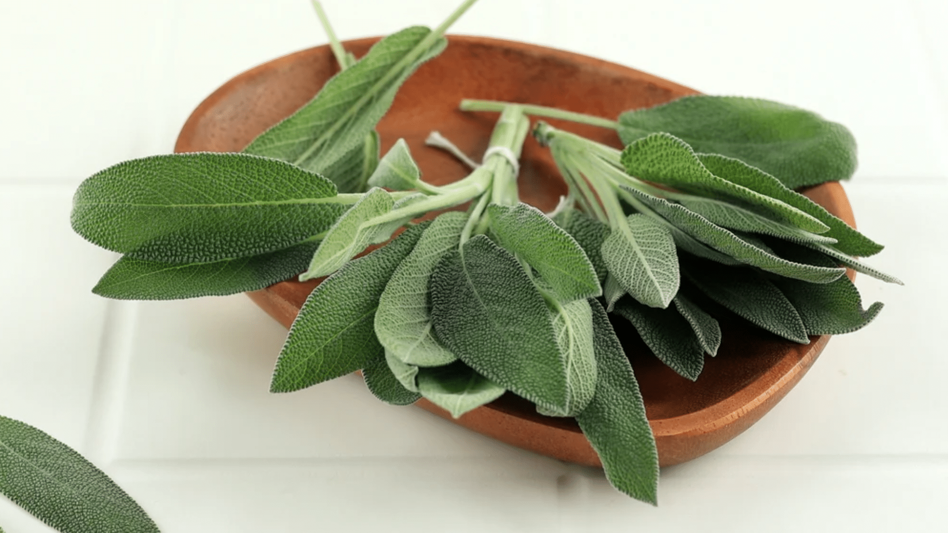 what-does-sage-smell-looks-like