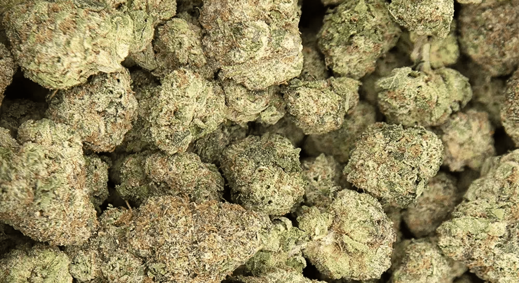 flavor aroma and appearance