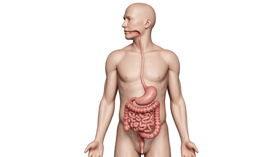 three months deeper healing begins