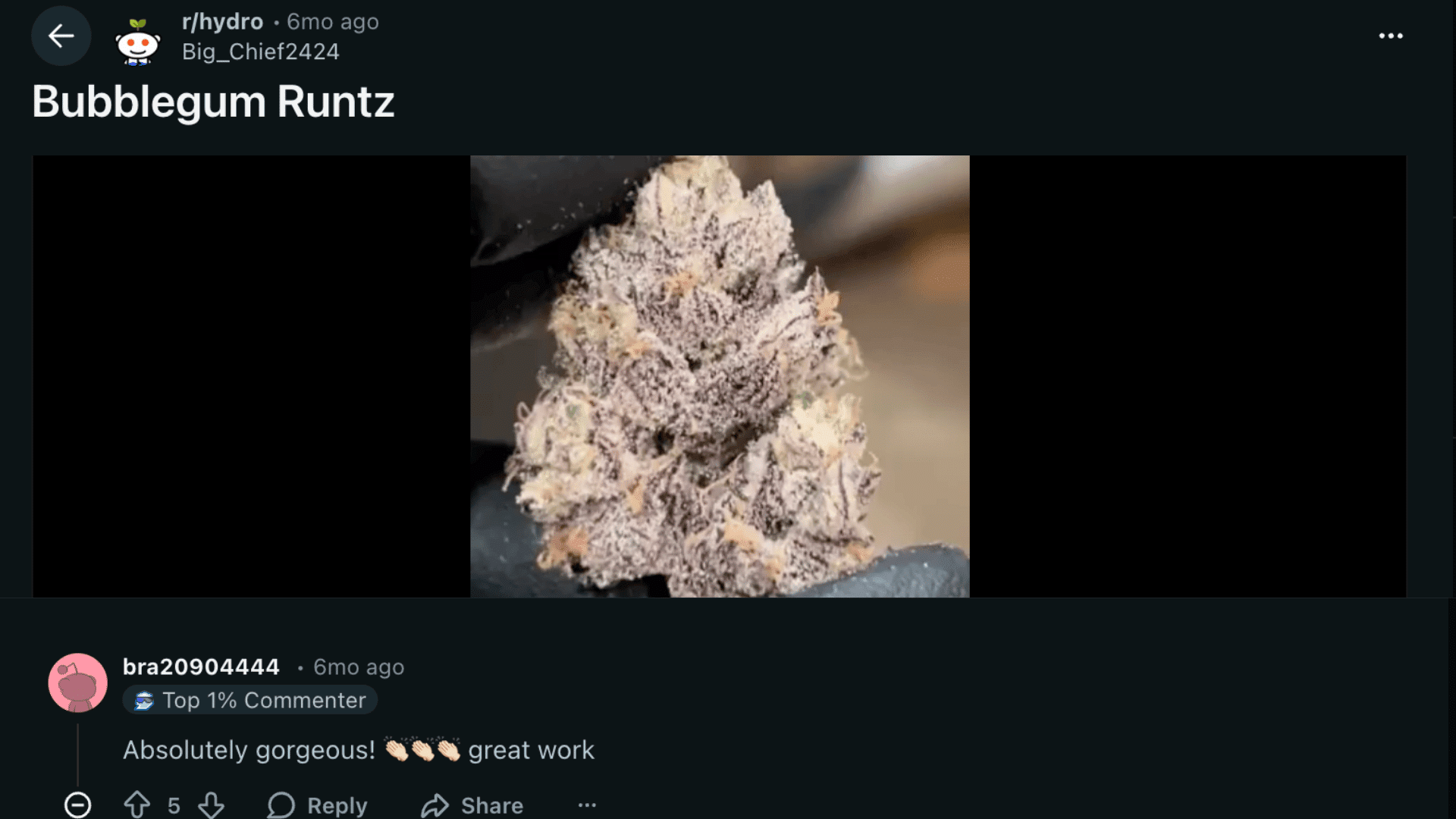 user reviews and community opinions of bubblegum runtz strain
