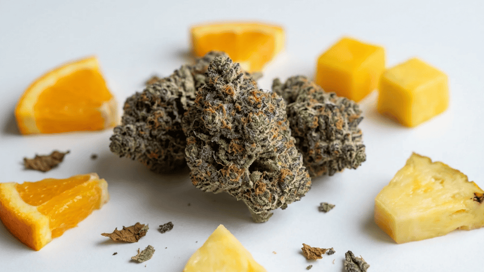 Close-up of Rainbow Runtz cannabis buds surrounded by fresh tropical fruits like orange, pineapple, and mango on a white background