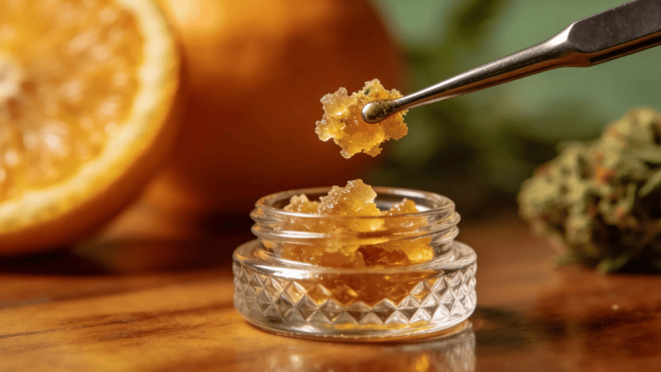 a close-up of crumble wax being scooped with a dab tool, with fresh orange slices in the background and cannabis buds nearby