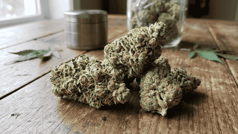 a close-up of gary payton cannabis buds on a rustic wooden surface, showing vibrant trichomes and orange pistils