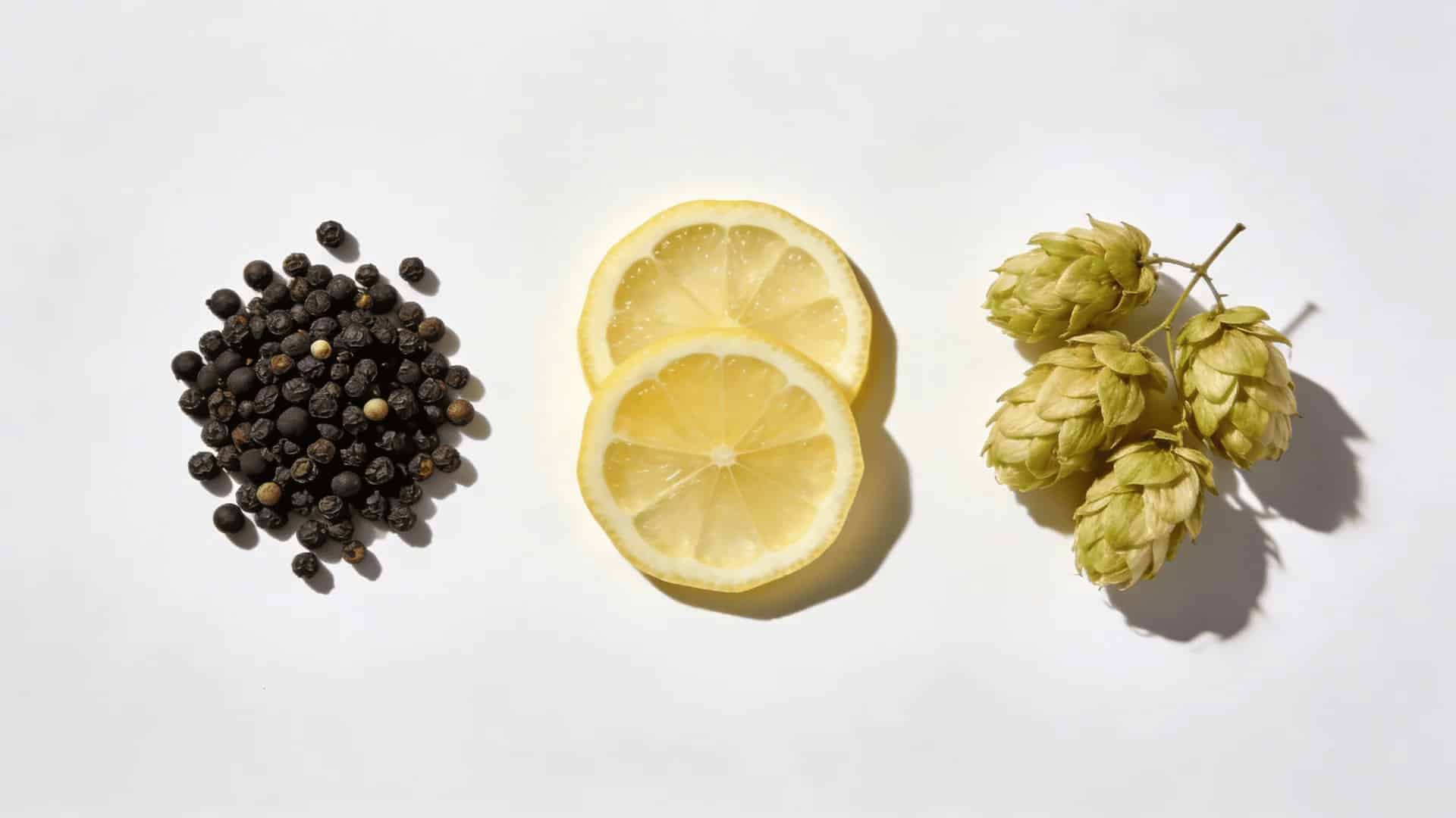 black peppercorns, lemon slices, and hop flowers arranged on a white surface, representing aromatic ingredients
