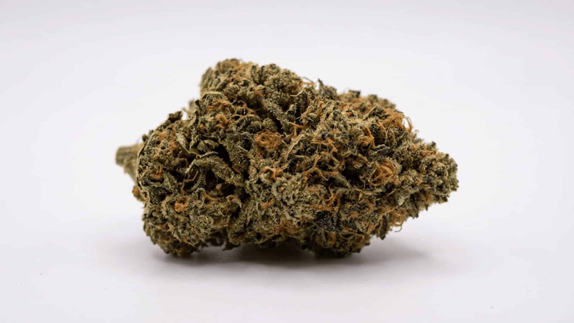 close-up image of a cannabis bud with green leaves and orange pistils, set against a clean white background