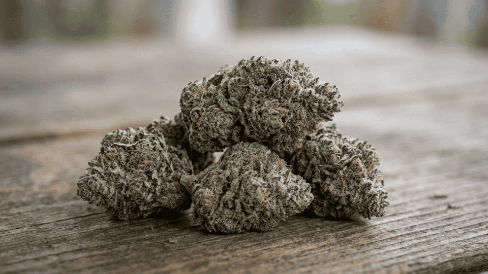 close-up of Rainbow Runtz cannabis buds placed on a wooden surface, showcasing their vibrant green, purple, and orange hues