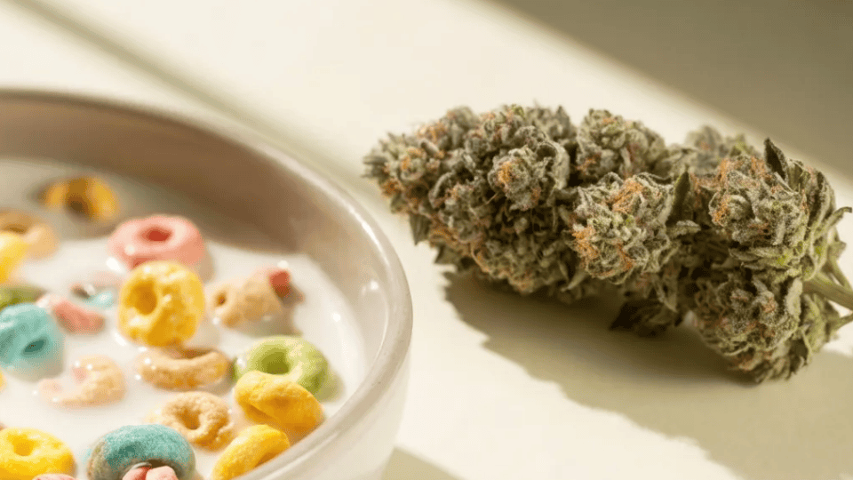 close-up of cereal milk cannabis buds with frosty trichomes next to a bowl of colorful cereal