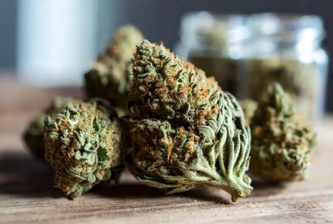 close-up of dense cannabis buds with orange pistils and a frosty, trichome-covered surface, set on a wooden surface