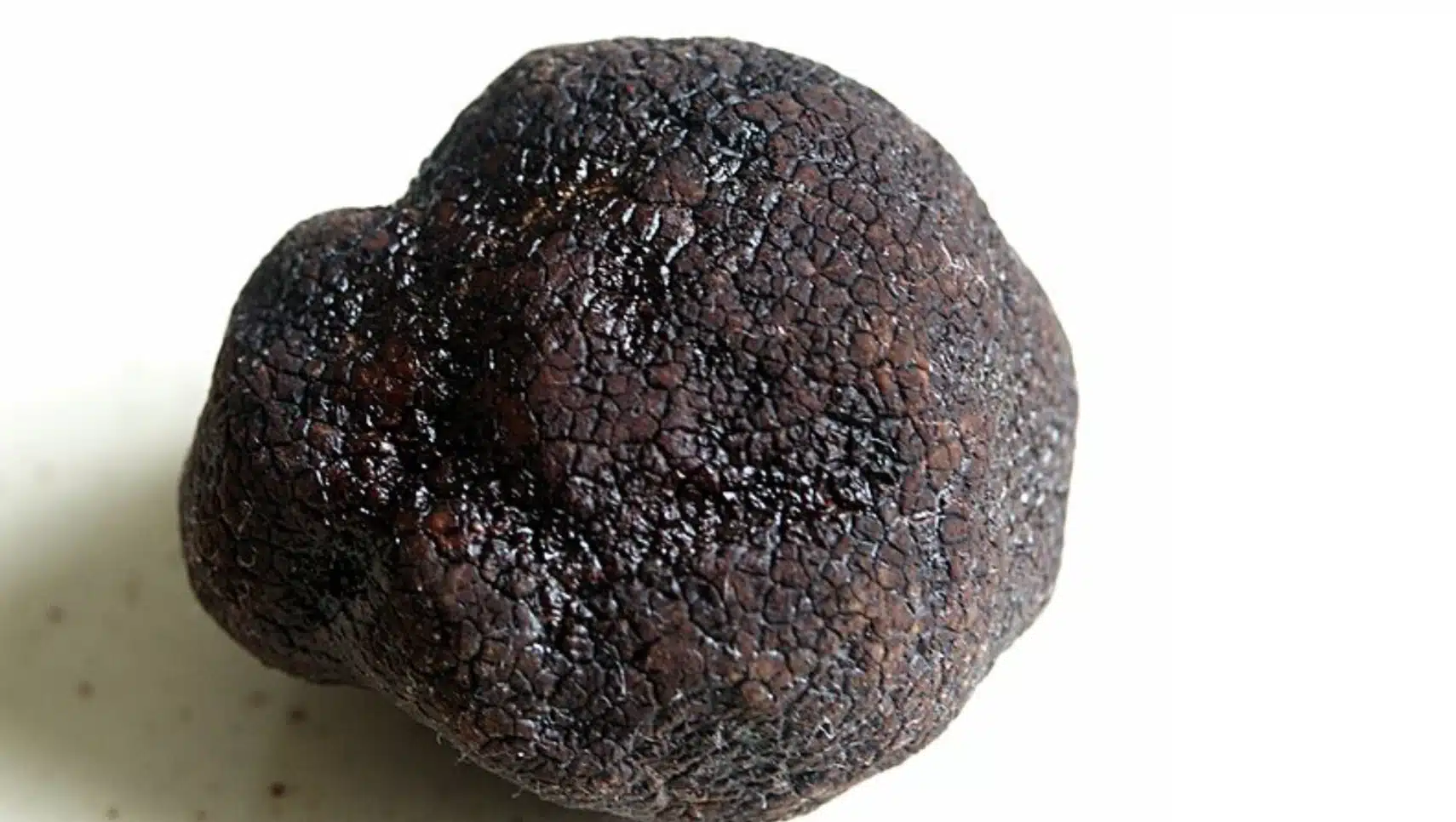 dark brown black truffle mushroom with textured surface, round uneven shape, highlighting natural earthy texture
