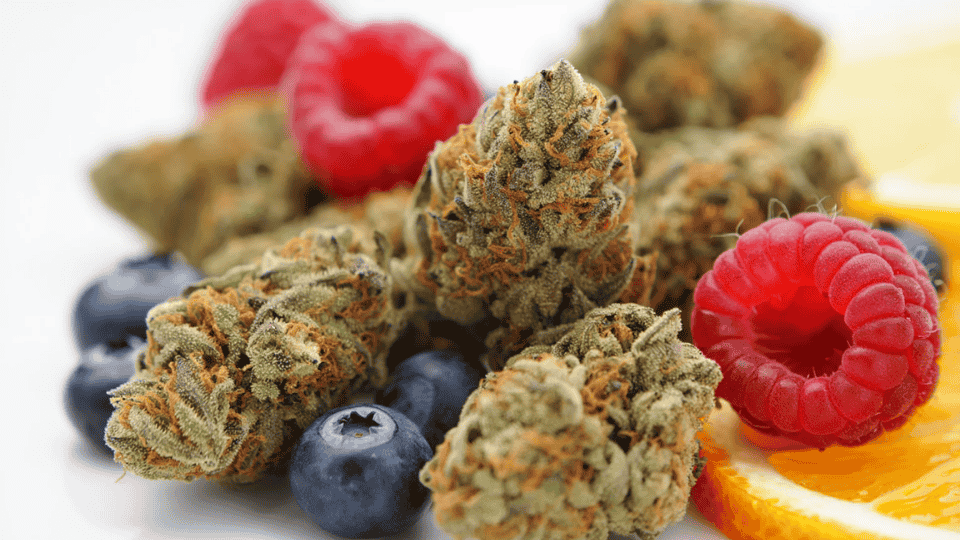 italian ice cannabis buds with blueberries, raspberries, and orange slice highlighting sweet fruity flavor profile