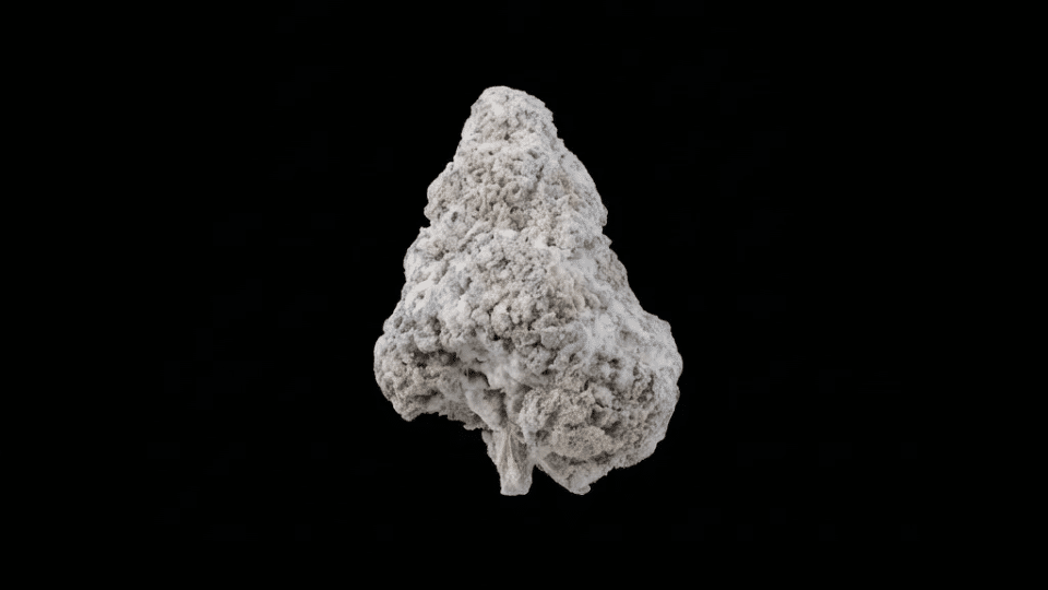 snow caps weed buds covered in white thca crystals with frosty texture and dense green and purple flower