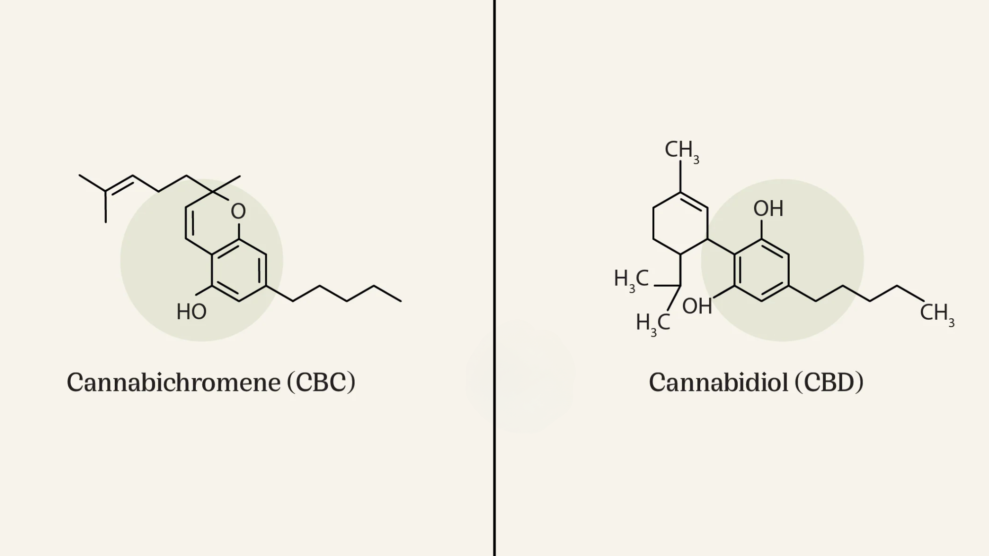cbc-cbd-structure