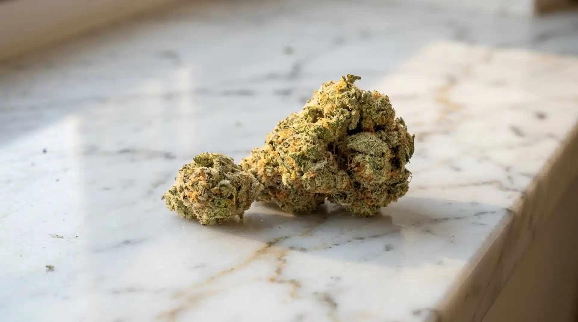 close-up of a cannabis bud on a marble surface, showcasing its frosty trichomes and rich green and orange hues