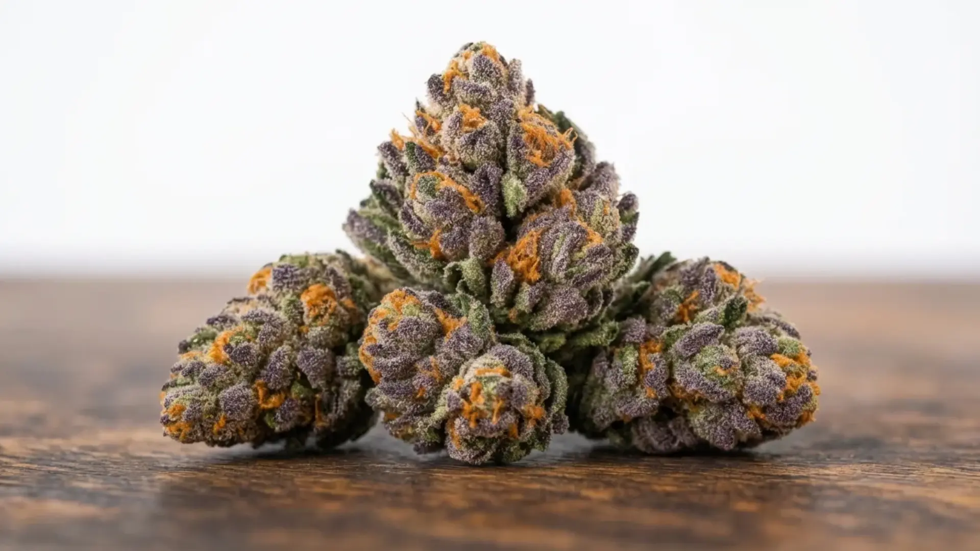 dense cannabis bud with vibrant purple and green leaves covered in white trichomes and orange hairs against a dark background