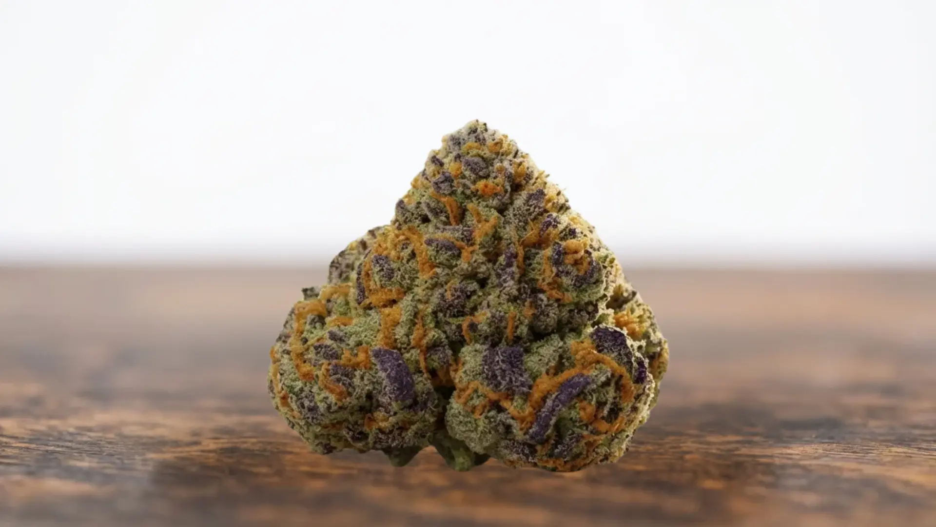 dense cannabis bud with vibrant purple and green leaves covered in white trichomes and orange hairs against a wood floor