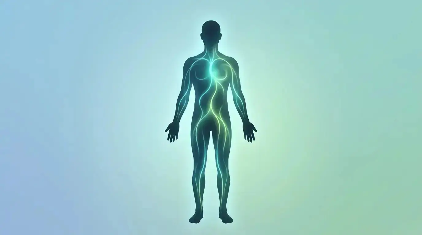 human body silhouette with glowing internal pathways (3)
