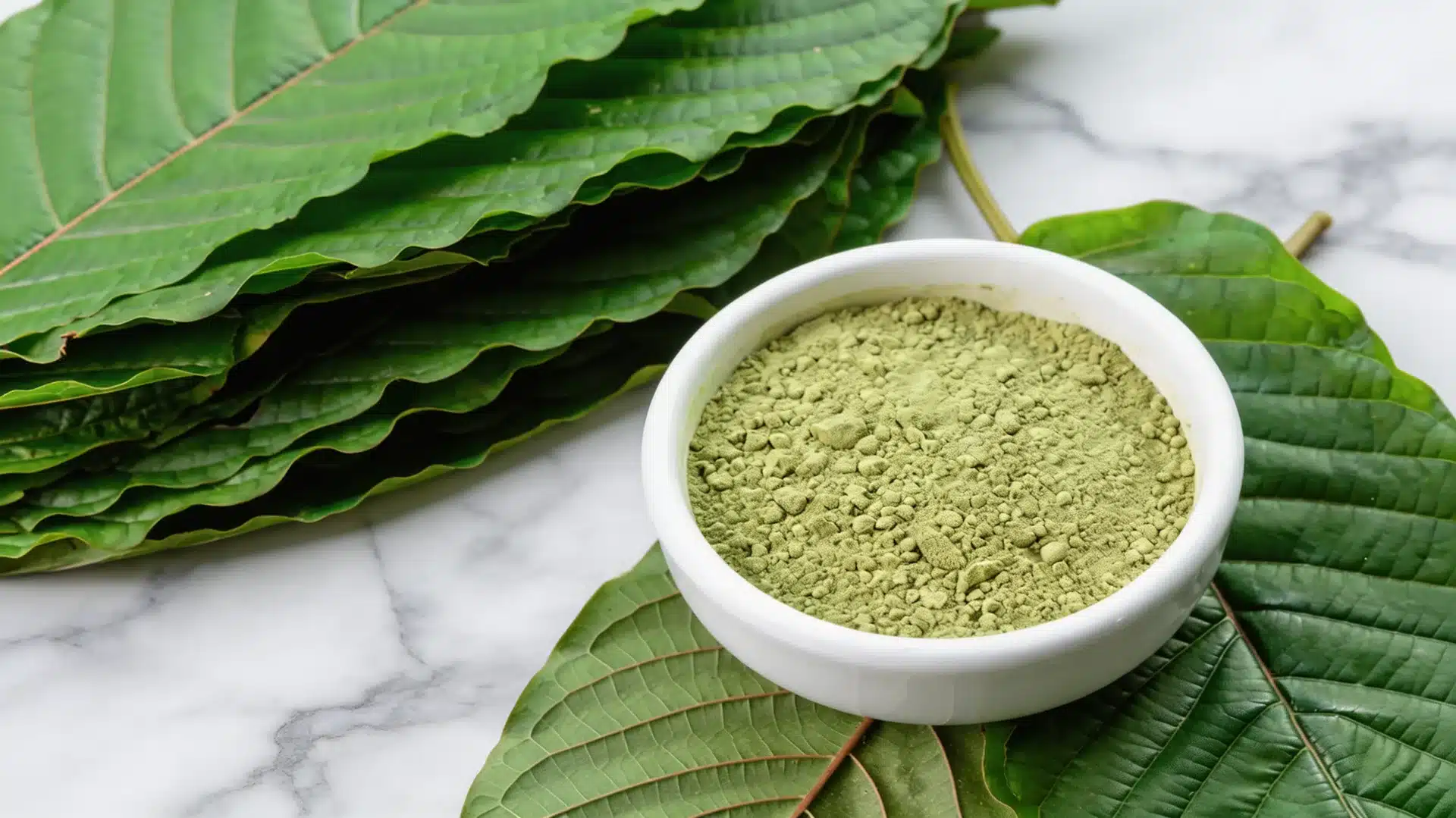 kratom powder in a white bowl placed on fresh green kratom leaves on a clean marble surface